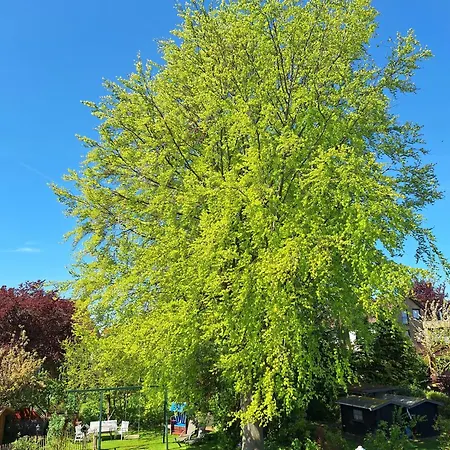 Appartement Haus Petra - 1 *